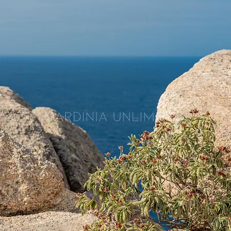 Il Faro Di Cyrano Villa Costa Paradiso